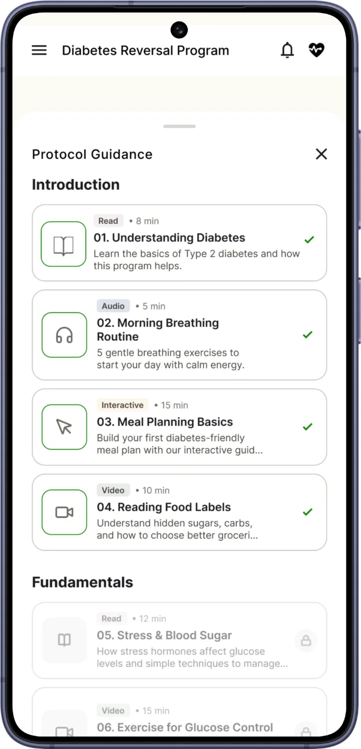 Programme guidance: short lessons such as Understanding Diabetes and Meal Planning Basics.